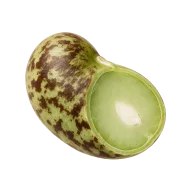 Dose Wachtelbohnen (Pinto beans), abgegossen und abgespült