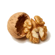 Walnüsse