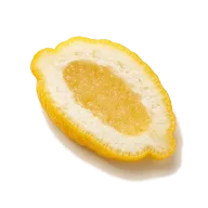 Zitronat (fein gehackt)
