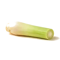 Zitronengras